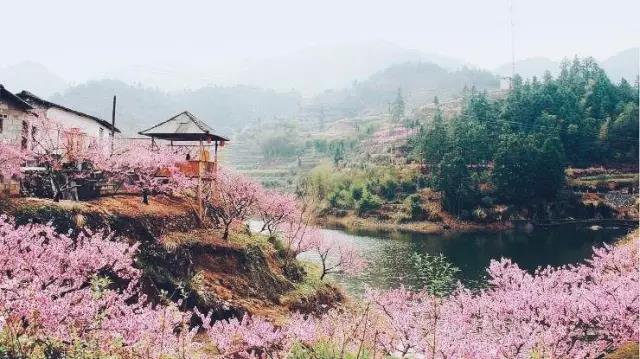 中國的桃花源和西方的烏托邦，是全人類(lèi)的精神遺產(chǎn)